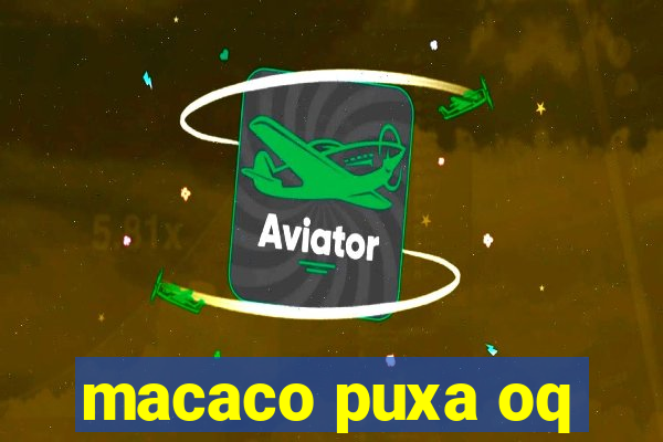 macaco puxa oq